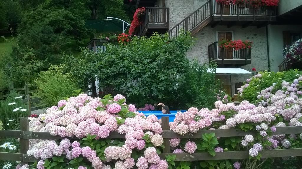 Antica Casa Ortensia Рива-дель-Гарда Номер фото
